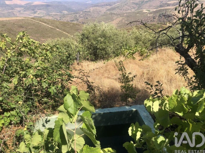 Terreno para Venda em Poiares Foto 15