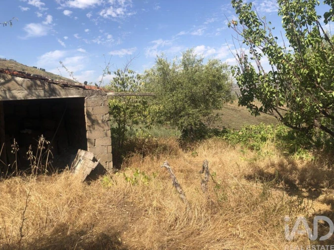 Terreno para Venda em Poiares Foto 14