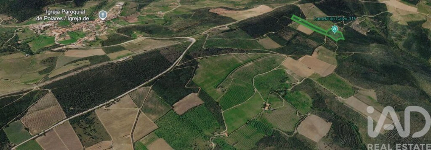 Terreno para Venda em Poiares Foto 3