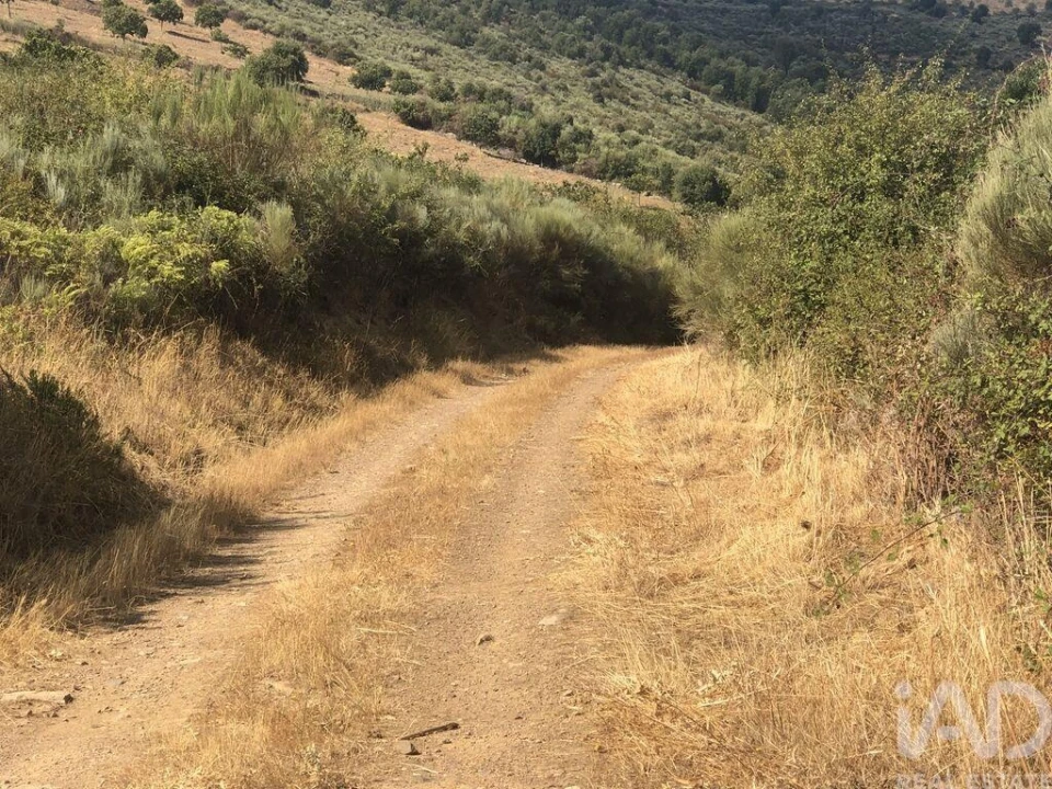Terreno para Venda em Poiares Foto 9