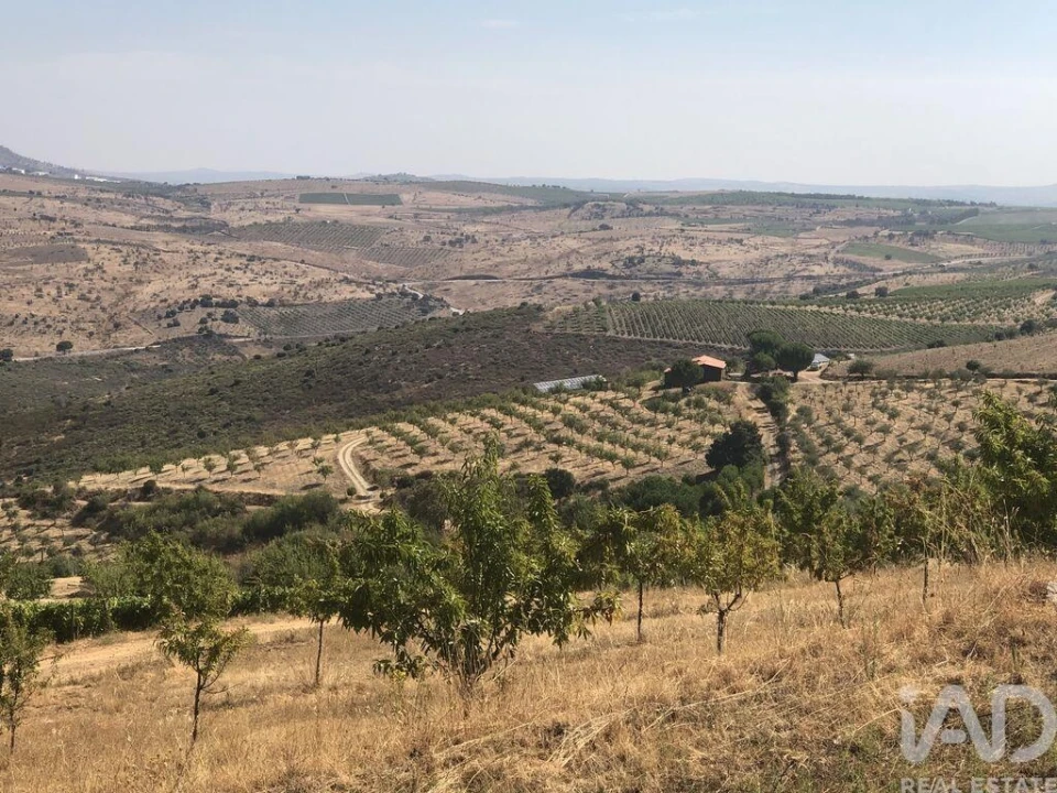 Terreno para Venda em Poiares Foto 7