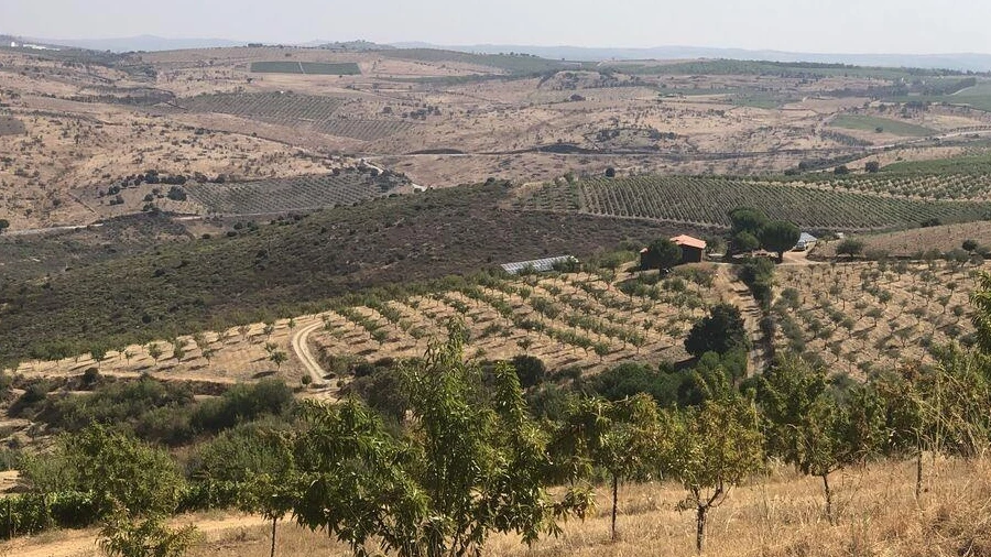 Terreno para Venda em Poiares