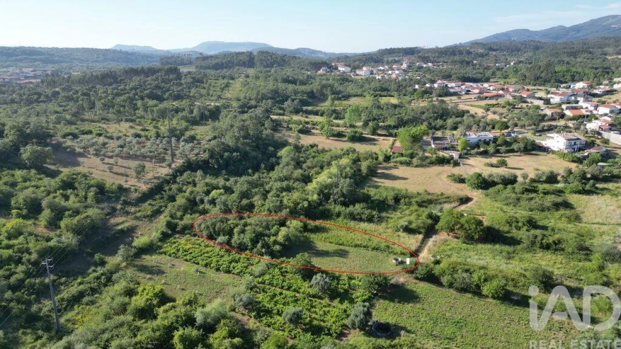 Terreno para Venda em Avelar Foto 13