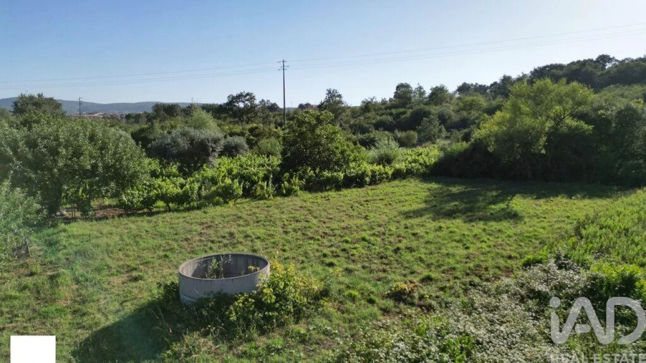 Terreno para Venda em Avelar Foto 19
