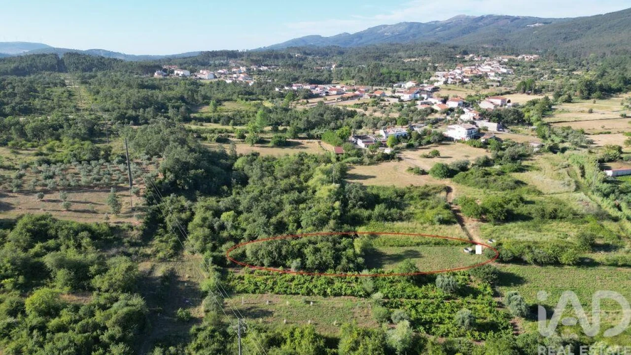 Terreno para Venda em Avelar Foto 8