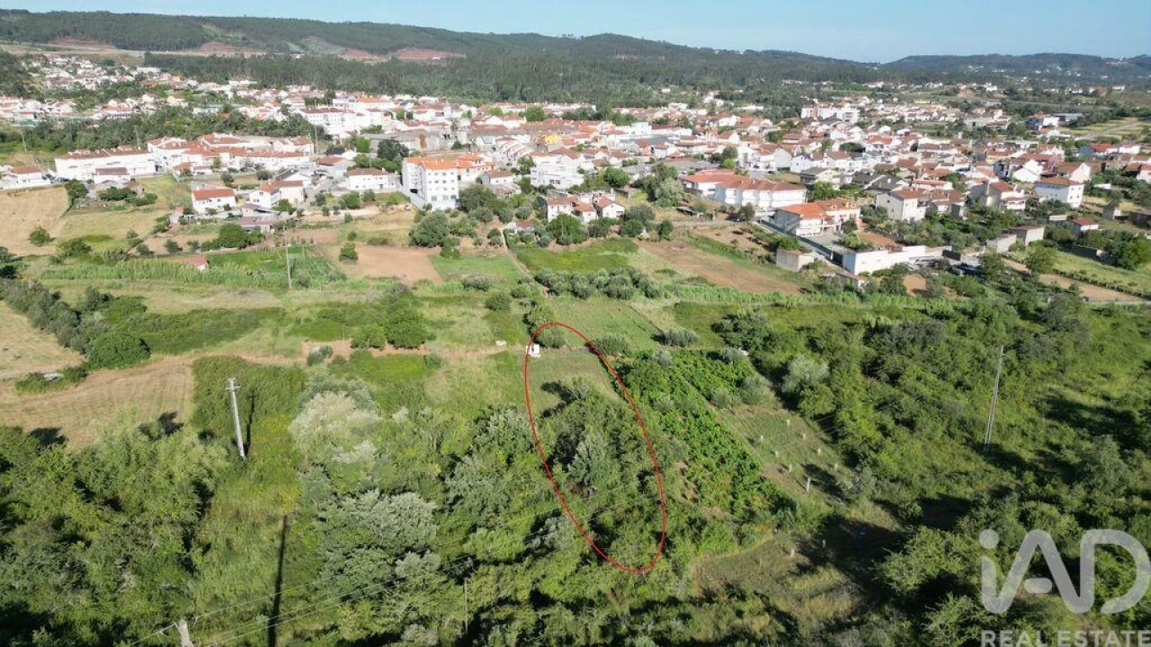 Terreno para Venda em Avelar Foto 11