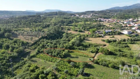 Terreno para Venda em Avelar