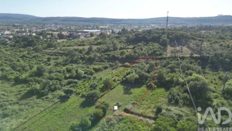 Terreno para Venda em Avelar