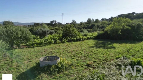 Terreno para Venda em Avelar