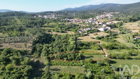 Terreno para Venda em Avelar