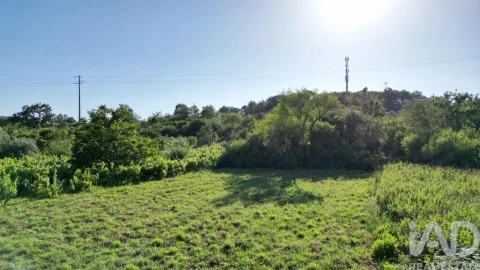 Terreno para Venda em Avelar