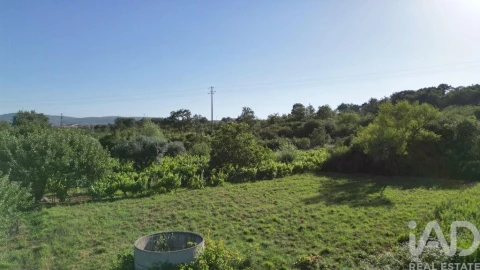 Terreno para Venda em Avelar