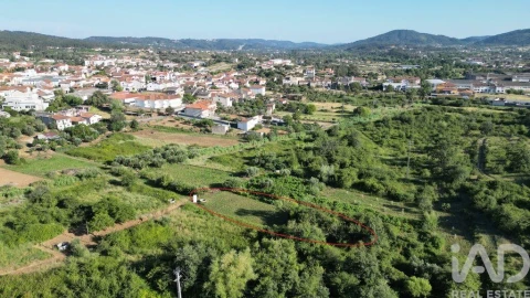 Terreno para Venda em Avelar