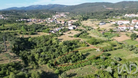 Terreno para Venda em Avelar