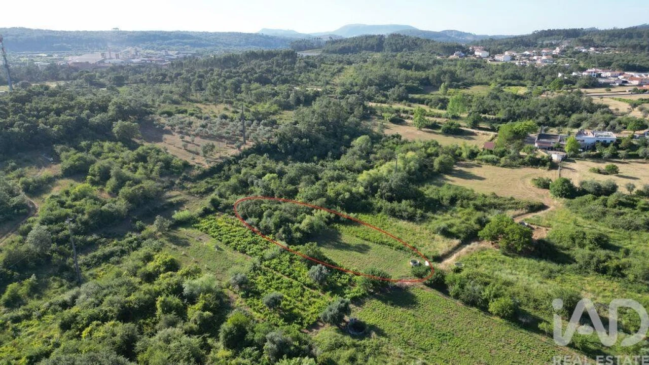 Terreno para Venda em Avelar Foto 12