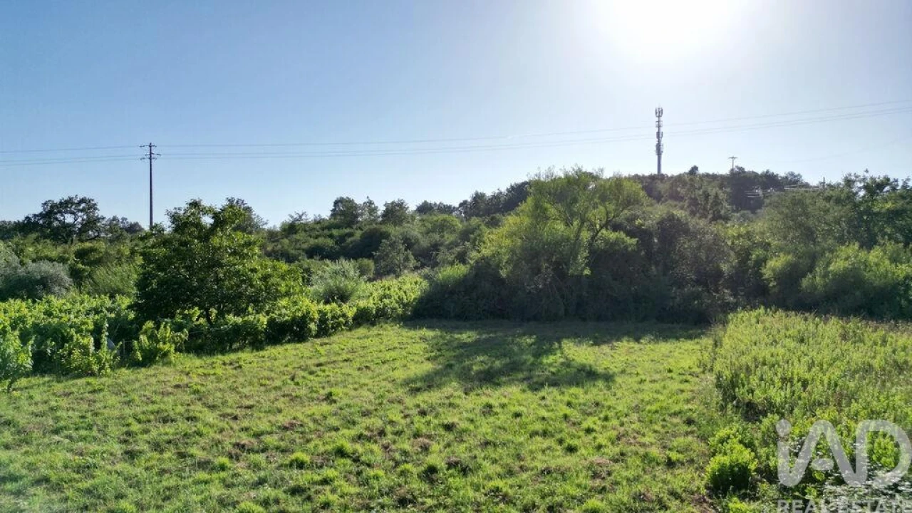 Terreno para Venda em Avelar Foto 15