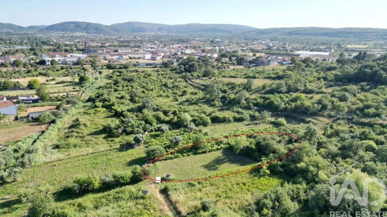 Terreno para Venda em Avelar Foto 4