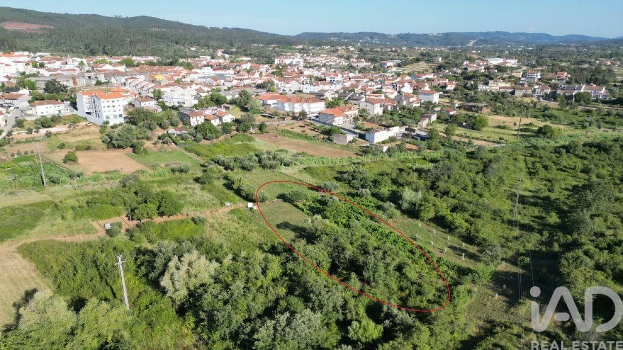Terreno para Venda em Avelar Foto 10