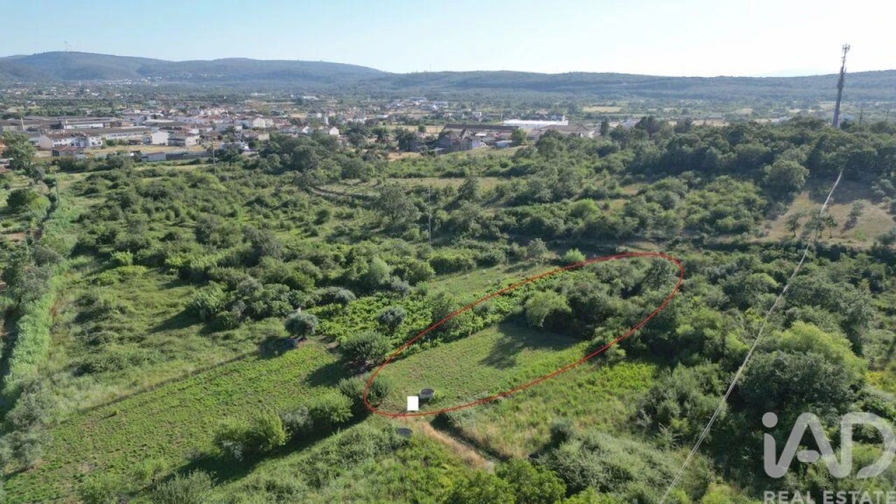 Terreno para Venda em Avelar Foto 3