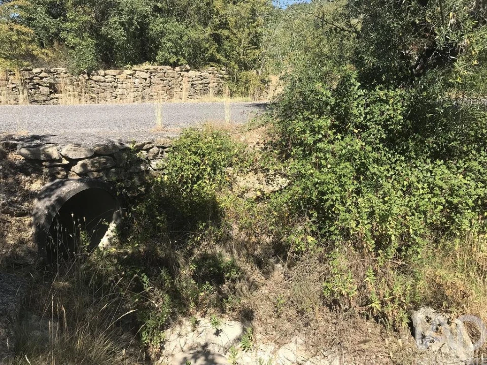 Terreno para Venda em Além da Ribeira e Pedreira Foto 8