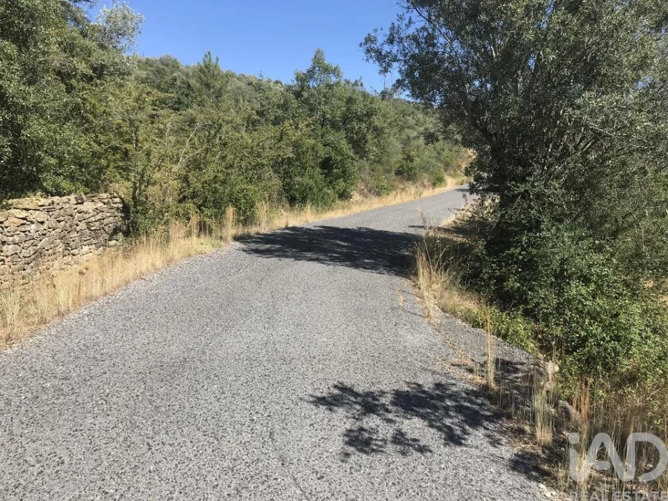 Terreno para Venda em Além da Ribeira e Pedreira Foto 3