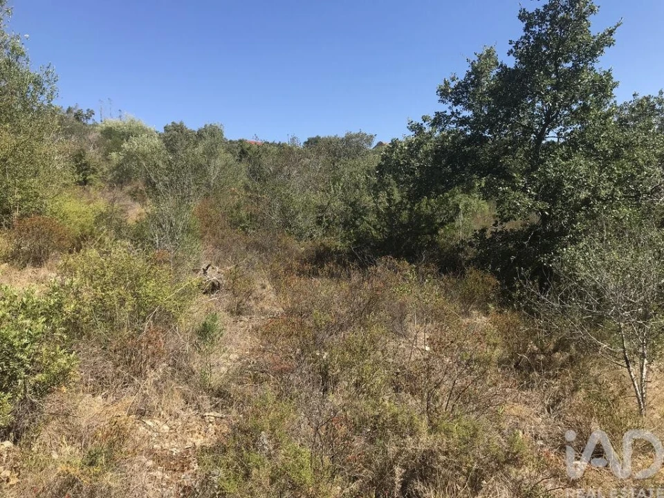 Terreno para Venda em Além da Ribeira e Pedreira Foto 23