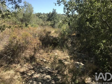 Terreno para Venda em Além da Ribeira e Pedreira