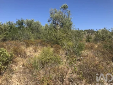 Terreno para Venda em Além da Ribeira e Pedreira