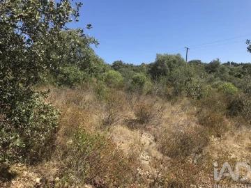 Terreno para Venda em Além da Ribeira e Pedreira