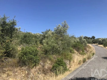 Terreno para Venda em Além da Ribeira e Pedreira