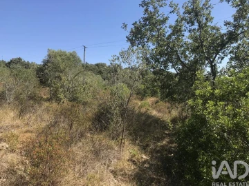 Terreno para Venda em Além da Ribeira e Pedreira