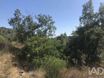 Terreno para Venda em Além da Ribeira e Pedreira