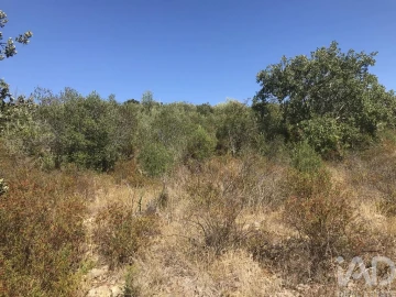 Terreno para Venda em Além da Ribeira e Pedreira