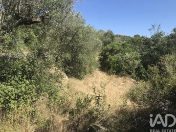 Terreno para Venda em Além da Ribeira e Pedreira
