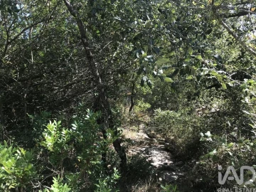 Terreno para Venda em Além da Ribeira e Pedreira