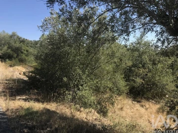 Terreno para Venda em Além da Ribeira e Pedreira