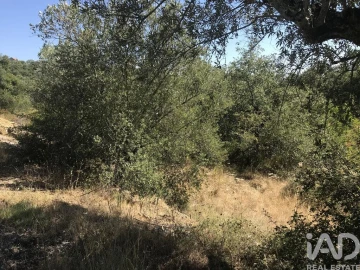 Terreno para Venda em Além da Ribeira e Pedreira