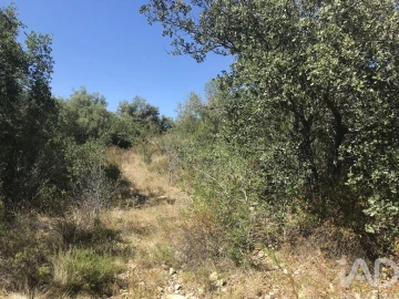 Terreno para Venda em Além da Ribeira e Pedreira