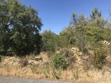 Terreno para Venda em Além da Ribeira e Pedreira