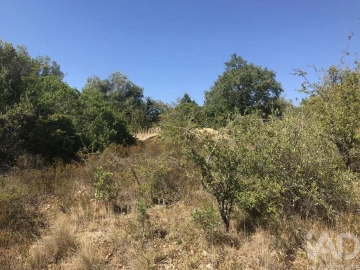 Terreno para Venda em Além da Ribeira e Pedreira