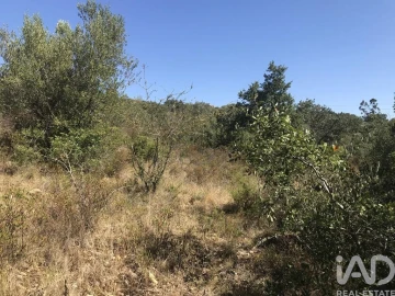 Terreno para Venda em Além da Ribeira e Pedreira