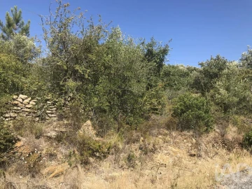 Terreno para Venda em Além da Ribeira e Pedreira