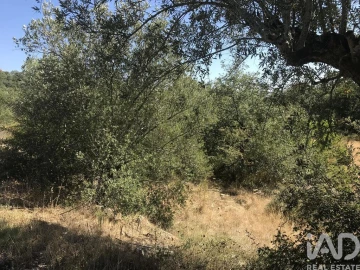 Terreno para Venda em Além da Ribeira e Pedreira