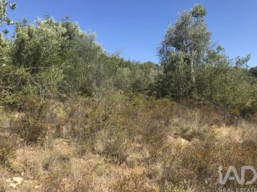 Terreno para Venda em Além da Ribeira e Pedreira