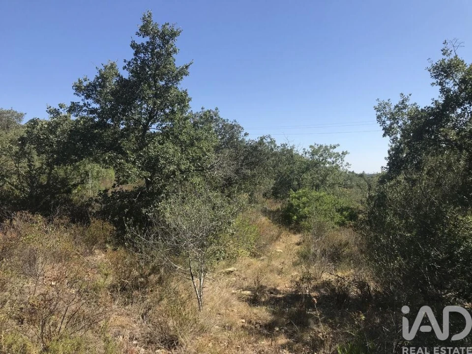 Terreno para Venda em Além da Ribeira e Pedreira Foto 24