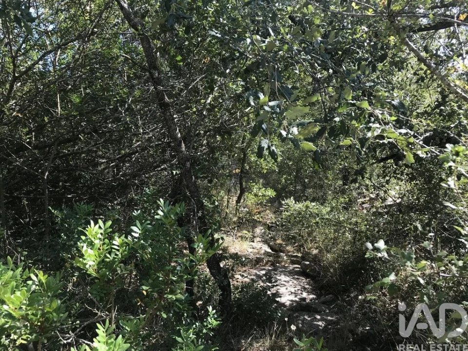 Terreno para Venda em Além da Ribeira e Pedreira Foto 14