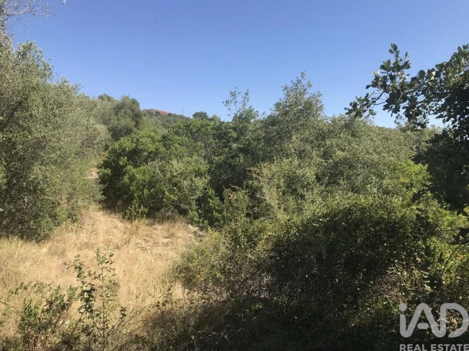 Terreno para Venda em Além da Ribeira e Pedreira Foto 6