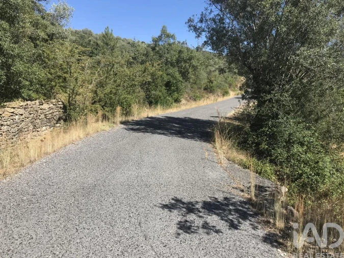 Terreno para Venda em Além da Ribeira e Pedreira Foto 3