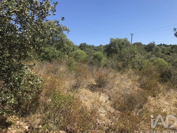 Terreno para Venda em Além da Ribeira e Pedreira Foto 26