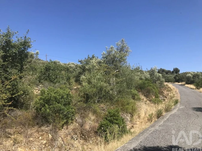Terreno para Venda em Além da Ribeira e Pedreira Foto 36